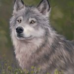 Gazing Wolf