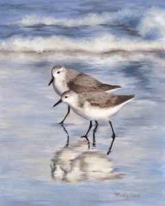 Sanderlings